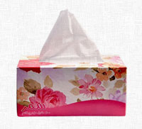 Facial Tissues